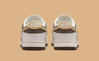 Official Images // Nike Dunk Low 
